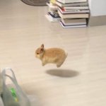 부모님한테 한 번도 안 맞아본 애들 진짜 있어?