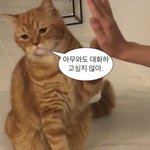 [댓글부탁해] 아니 후면이랑 실물이랑 이렇게 다를 수 있음?
