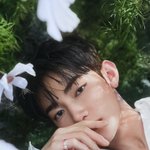 [ZB1] 노란끼 없으니까 <b>존</b>좋
