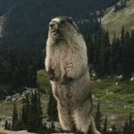 [방탄소년단] 지금