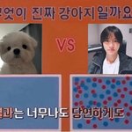 [TXT] 나 이런 <b>주접</b> 너무 좋아