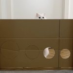 평균키 잘<b>생남</b>이 키 큰 평범남보다 인기 많은 게 맞음?