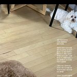 세상 사는 99%가 운이라는거 <b>동의</b>함?