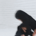 [모두드루와] <b>류진이</b> 마마 액션신 연습영상 지린다