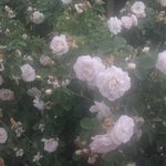 이거 ㅈㄴ 슈 <b>보정법</b>같음