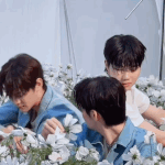 [ZB1] 귭빠빠 <b>몸통</b>박치기에도