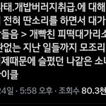 지금 <b>캐럿</b>들 이상황임