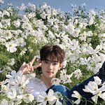 [ZB1] 장하오 이 사진 <b>사방</b>이 꽃인데