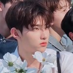 [ZB1] 와 하오 이거 눈물 <b>고인</b> 거 같대