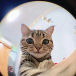 [댓글부탁해] 나정도 미친콩깍<b>지녀</b>있음??