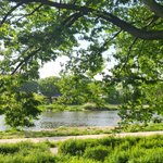 [댓글부탁해] <b>소외</b> 당하는중