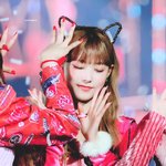고양이치고 가장 사람 같은 아이돌