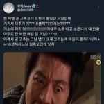 아니 물밤<b>작가</b> ㅈㄴ 웃김