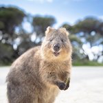 여돌 <b>몸평</b>, 여학생 <b>몸평</b> 좀 그만 했으면 좋겠음