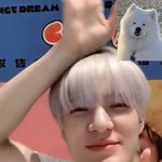 [NCT드림] ㅈㅅ 꽃 <b>챌린지</b>중에서