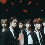 폴라로이드 러브 아는 사람?