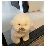 [댓글부탁해] 고3 인간관계땜에 개스트레스받음..