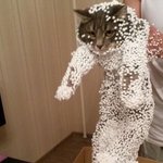 이거 <b>권태기</b>인가?