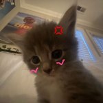 중3때 <b>부터</b> 빡세게 공부하면 간호사 가능?