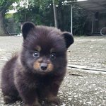 약혐) 나 피부 좋아진것좀봐