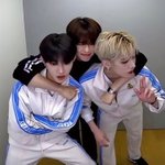[ZB1] 윀떤 <b>회사</b> 내 고양이 두마리 들고 나름