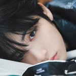 보넥도 인기맴
