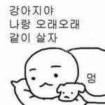 <b>안경</b>바꿧는데 왤케 머리아프지