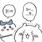 [쌰갈] 인프피<b>라서</b> 너무 괴롭다 나는 평생 찐프피일듯