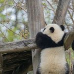 너네면 이거 모솔로 침??