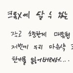 [ZB1] 마슈샥이 대체 뭘까