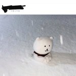 너네 주변에 인플루언서 유명인있어?