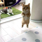 [드루와] 나 중딩때 <b>일진</b>들 트위터하는데