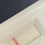 [19] 이거 임테기 <b>두줄</b>맞아..?