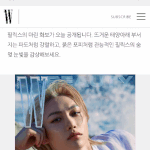[스키즈] <b>W코리아</b> 들어가니까 보이네