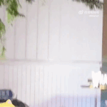 이정현 이거봤어?