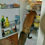 [TXT] 밑글이 태현이면 난 연준이 모에화플 간다