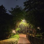 비억수로 많이<b>올때</b> 숲속 사진좀 찍어봤어