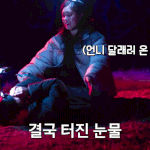 아이브 이번 <b>자</b><b>컨</b> 레전드 찍음