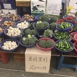 아 독서실 걸어가는 거 개귀찮아