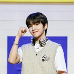 보넥도 강아지상 고양이상 다 있음