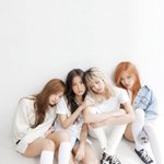 [댓글부탁해] 혹시 블핑이랑 뉴진스 둘 다 팬인 사람 있어??