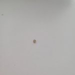 대기업 PB 과자에서 돌나왔는데 <b>대응</b>이 이게 맞는건가