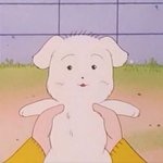 [드루와] 니네 립제품 뭘 제일 <b>선호</b>함