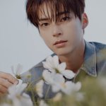[ZB1] 와 나 퍼룩 이제 봤는데 <b>센터</b>즈 얼굴 뭐야