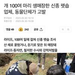 100여<b>마리</b> 생매장한 팻숍