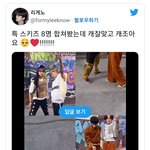 [스키즈] 테이들 4분할로 봐