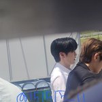 [ZB1] <b>갈색</b> 머리 매튜인가?