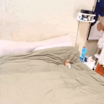 나 애기 때 밥 마니 마니 먹어쬬.<b>gif</b>