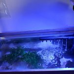 [하고싶은말] 우리<b>집구</b>피자랑!!