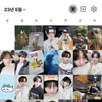 얘 위버스 <b>출석률</b> 어떡하냐 진짜